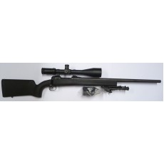 Savage 10FCP + optique Hawke 