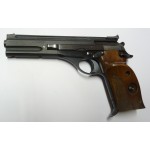 Beretta 22 LR