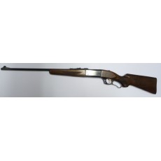 Savage 1899